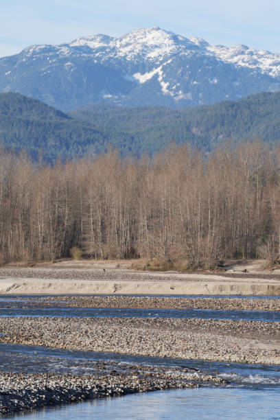 istock Squamish River during a fall season at the Eagle Run vista point in Brackendale 1860790849