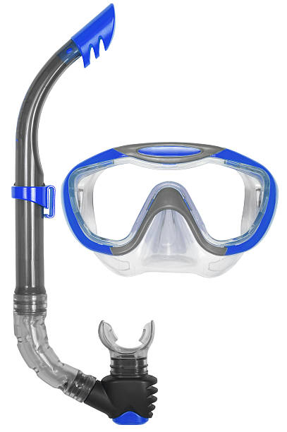 snorkel and mask for diving - yüzücü gözlüğü stok fotoğraflar ve resimler