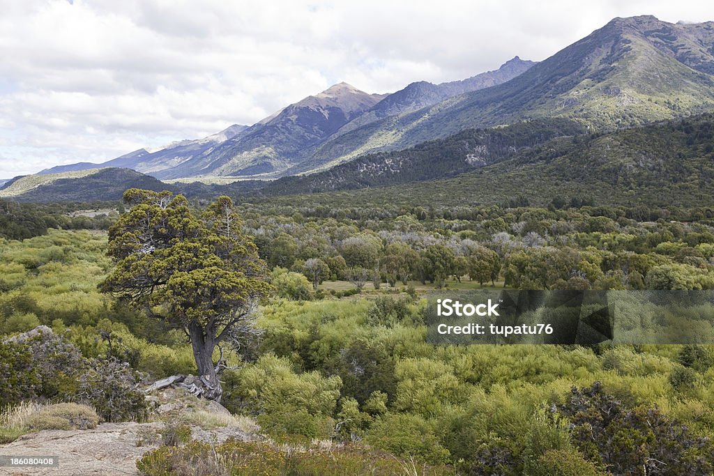 Panorama del Alerces Parco nazionale. - Foto stock royalty-free di Argentina - America del Sud