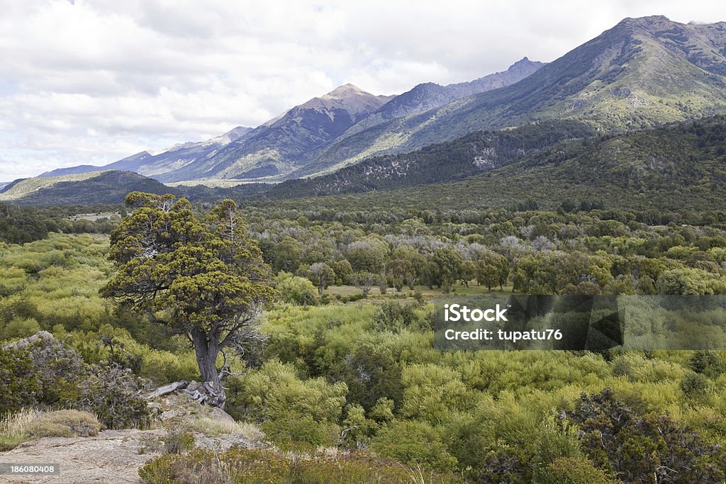 Panorama of the Alerces national park. Panorama of the Alerces national park, Argentina Argentina Stock Photo