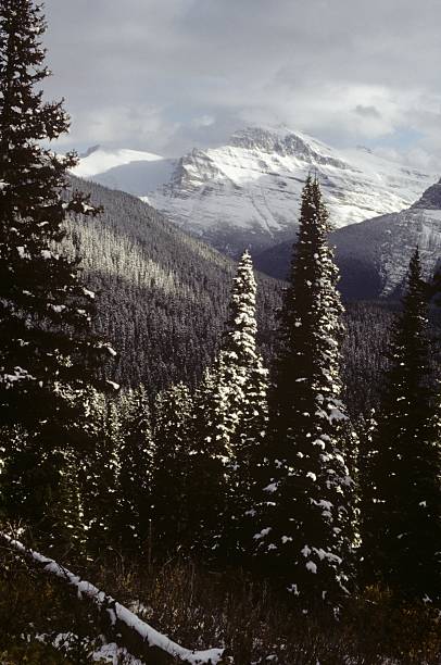 istock Glacier National Park scenic 026 186080527