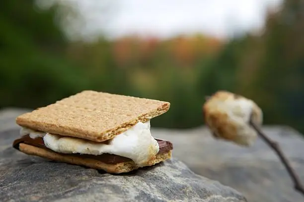 A perfectly melty s'mores treat rests on a boulder with a deliciously browned marshmallow nearby.