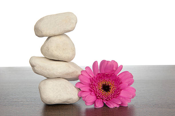 istock Pile of white stones beside pink gerbera 186081727