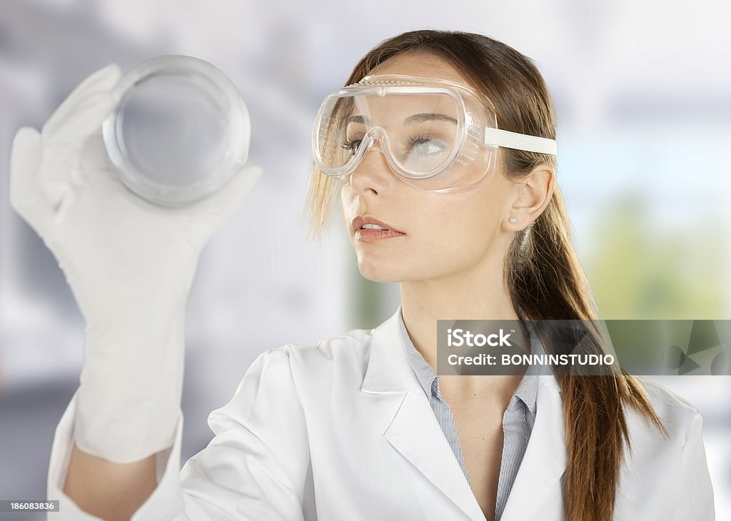 woman scientist analyzing Petri dishes in the laboratory Portrait of a young chemist working with medicine Adult Stock Photo