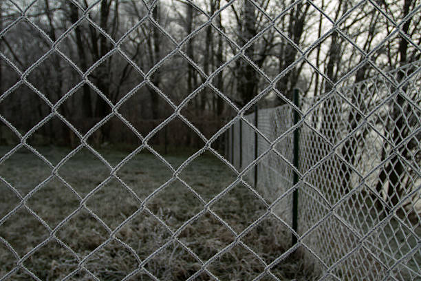 istock wire fence with hoarfrost 186084966