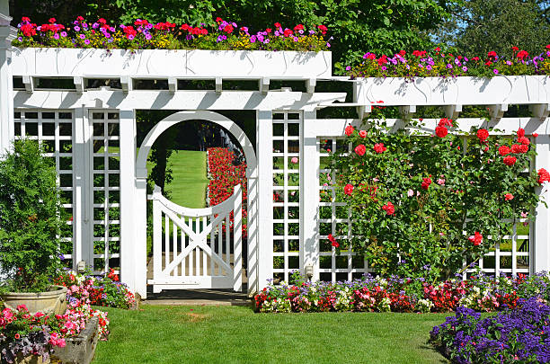 White garden gate with flowers White garden gate and fence in colorful botanical garden trellis photos stock pictures, royalty-free photos & images