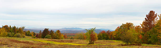 Autumn panoramic stock photo