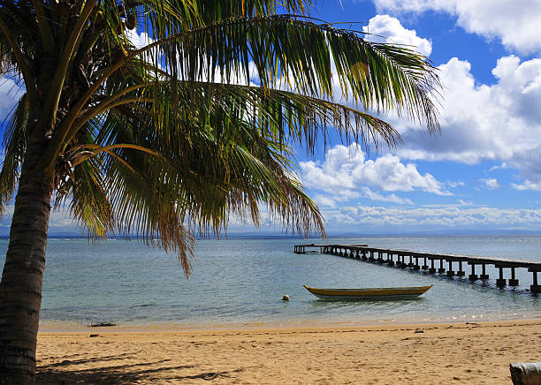 tropical beach and jetty Vohilava, Ile Sainte Marie, Madagascar: coconut tree, beach and jetty - photo by M.Torres analanjirofo region stock pictures, royalty-free photos & images