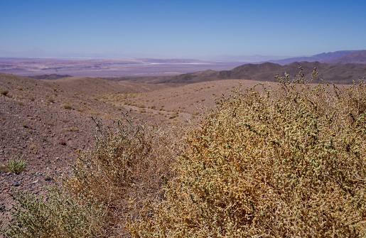 Suburbs of Phoenix, Arizona, seen from the mountains