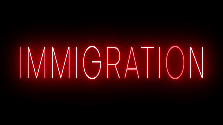 Glowing and blinking red retro neon sign for IMMIGRATION