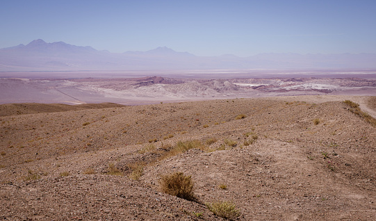 Licancabur and Miniques snowcapped volcanoes and Idyllic Atacama Desert steppe, Volcanic landscape panorama – San Pedro de Atacama, Chile