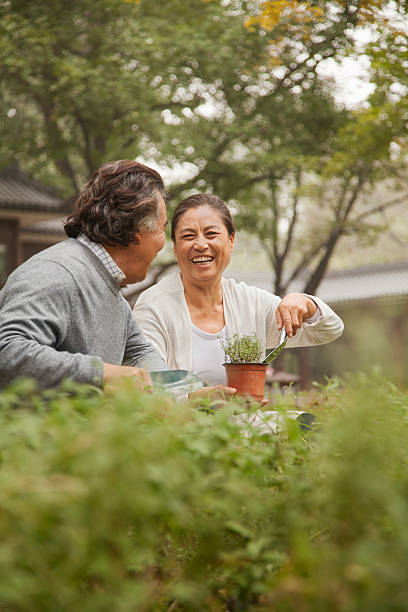 sorridente coppia senior in giardino - gardening couple senior adult ethnic foto e immagini stock