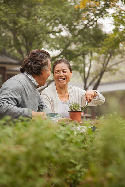 портрет улыбающегося старшего пара в сад - gardening couple senior adult ethnic стоковые фото и изображения