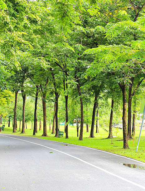 istock Green city park 186093793