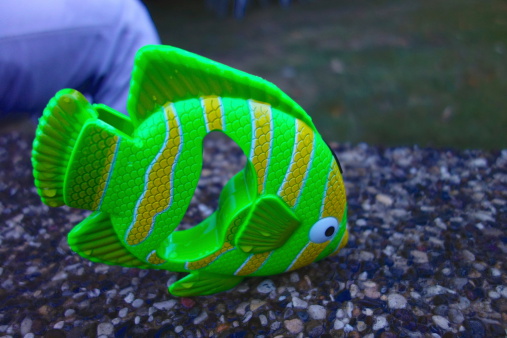 green color fish toy , close-up