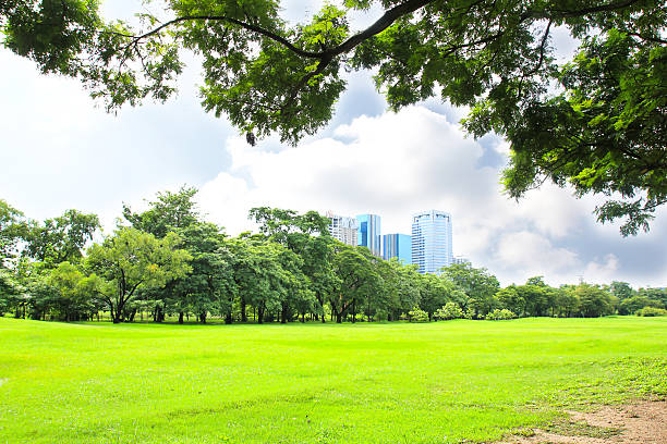 istock Green city park 186094531