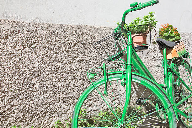 istock Bicycle totally painted in green & flower pots 186094744