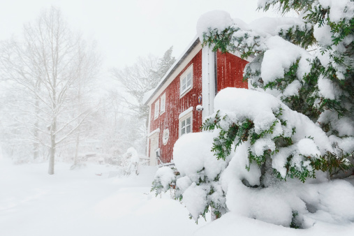 Red house in snowfall with evergreen trees - Sweden