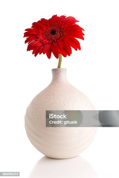 Flowers Stock Photo - Download Image Now - Arrangement, Colors, Cut Out