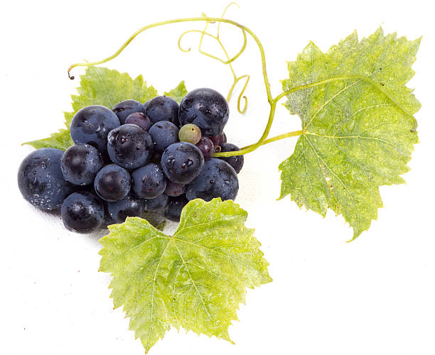 istock Ripe dark grapes with leaves 186096460