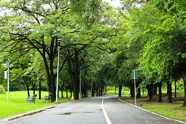 istock Green city park 186096722