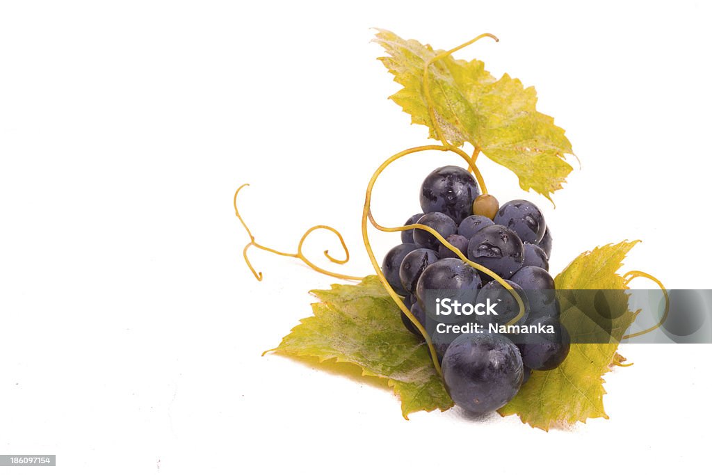 Ripe dark grapes with leaves Ripe dark grapes with leaves, Isolated on white background, Berry Fruit Stock Photo