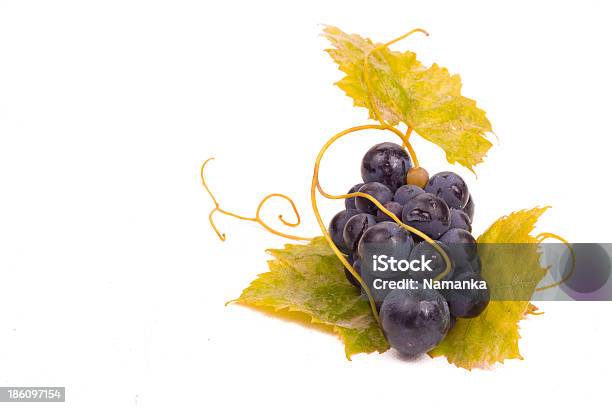 Ripe Dark Grapes With Leaves Stock Photo - Download Image Now - Berry Fruit, Black Color, Blue