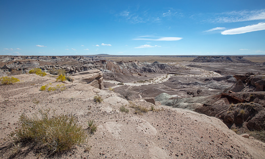 Plateau view of dry desert wash in the Petrified Forest National Park in Arizona United States