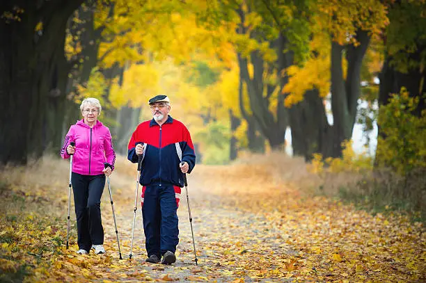 senior couple making nordic walking in the park