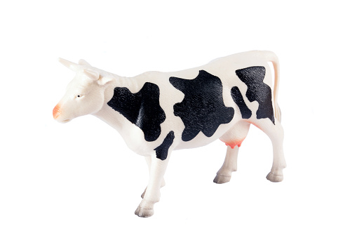white and black toy cow in white background
