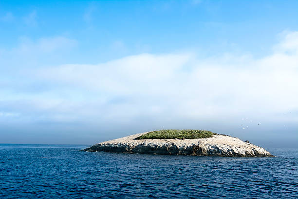 istock Bird Rock Catalina Island 186100818