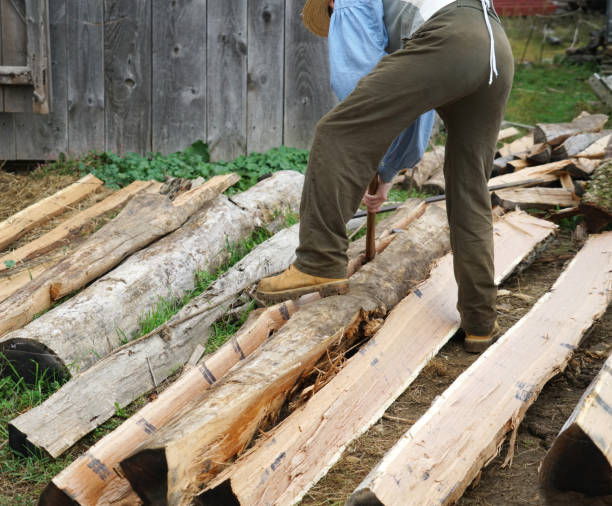istock man chopping wood for winter 1861010333