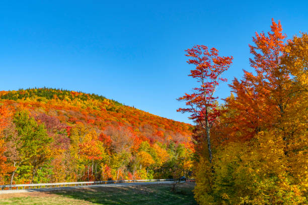 istock landscape of autumn mountain forest 1861011372