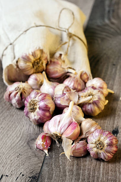 istock Many of garlic heads 186102531