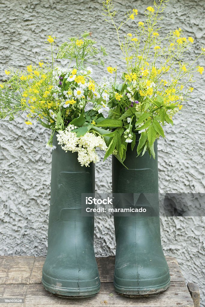 Boot Flowerpot on grey background Beauty In Nature Stock Photo