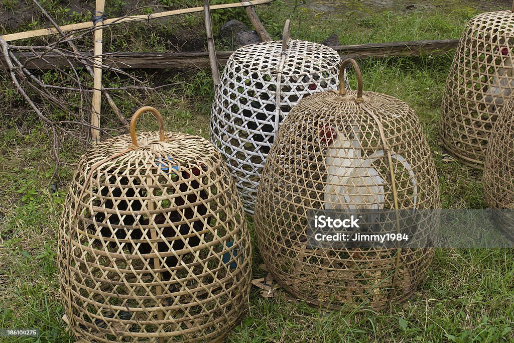 Poulet dans un panier - Photo de Foule libre de droits