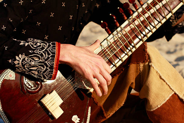 Playing the sitar Playing the sitar indian music stock pictures, royalty-free photos & images