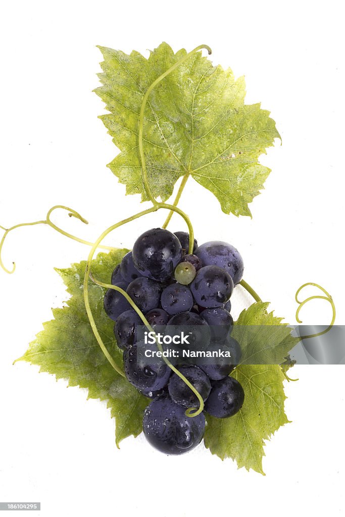 Ripe dark grapes with leaves Ripe dark grapes with leaves, Isolated on white background, Berry Fruit Stock Photo