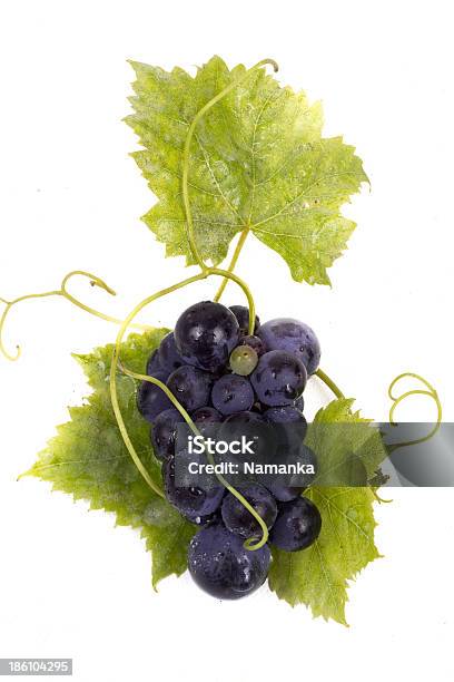 Ripe Dark Grapes With Leaves Stock Photo - Download Image Now - Berry Fruit, Black Color, Blue