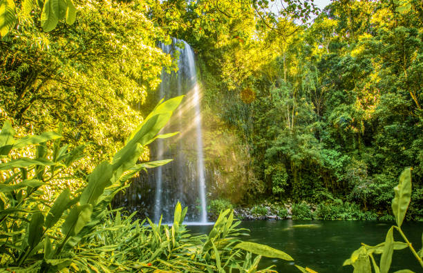 istock The view of the Millaa Millaa Falls under the sunlight 1861049263