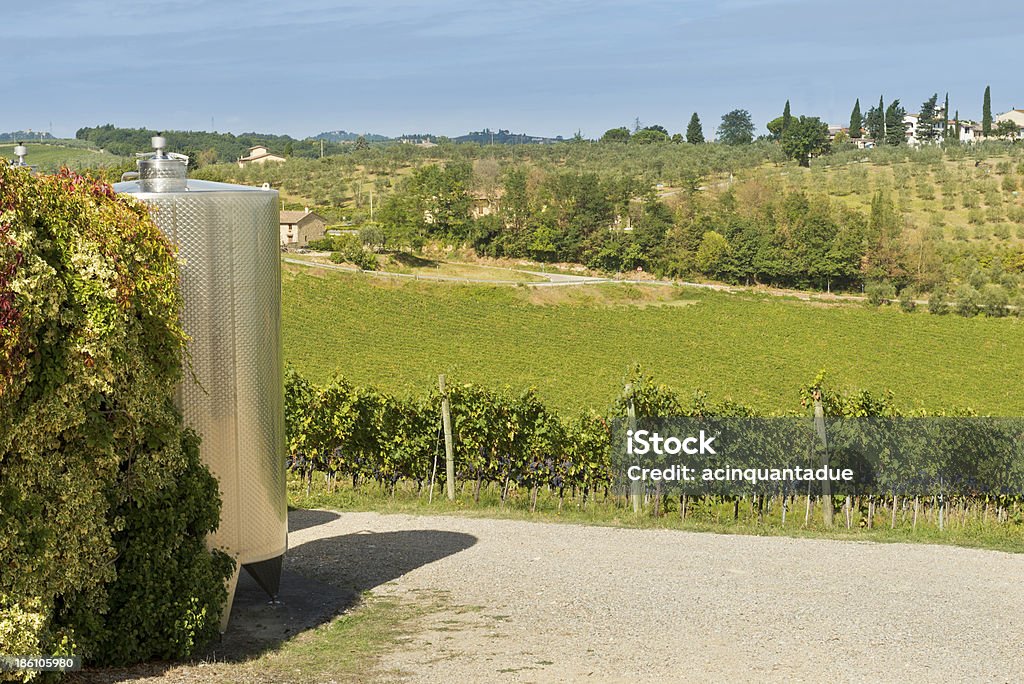 Vineyard und Mehrwertsteuer für Weines - Lizenzfrei Alkoholisches Getränk Stock-Foto