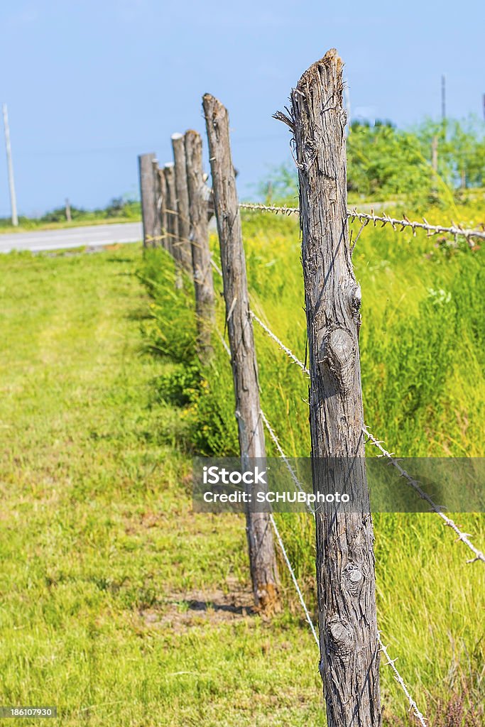 Alambre de espino - Foto de stock de Agricultura libre de derechos