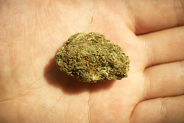 istock Prescription Medical Marijuana 186108050