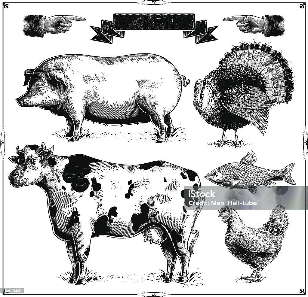 Farm Animals Domestic farm animals, (Pig, Turkey, Cow, Chicken, Fish.) vector .eps8 Chicken - Bird stock vector