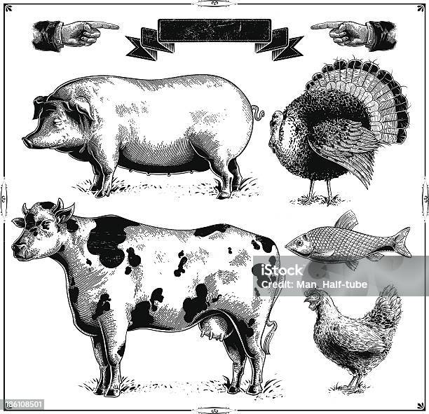 Farm Animals Stock Illustration - Download Image Now - Chicken - Bird, Chicken Meat, Old-fashioned