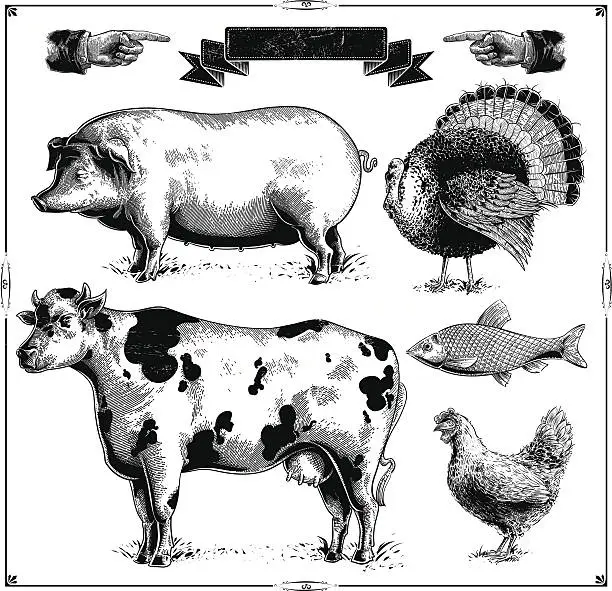 Vector illustration of Farm Animals