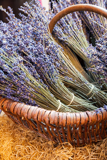 istock Bunch of lavender, Provence 186108976