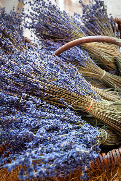 istock Bunch of lavender, Provence 186108977