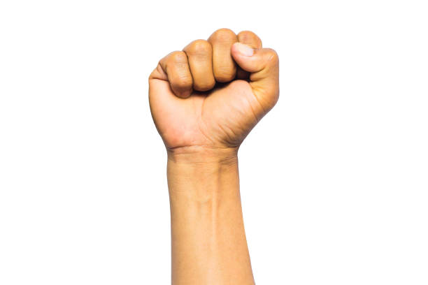 istock hand fist isolated on white background 1861090736