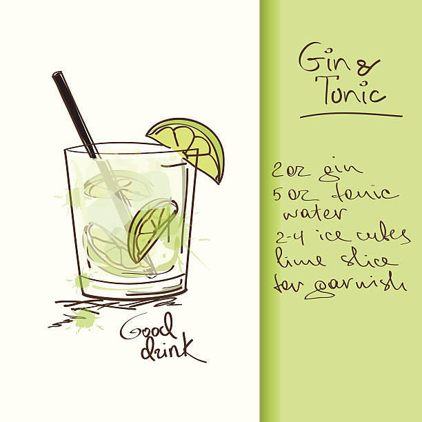 Illustration with Gin and Tonic cocktail Illustration with hand drawn Gin and Tonic cocktail. Included Ai gin tonic stock illustrations